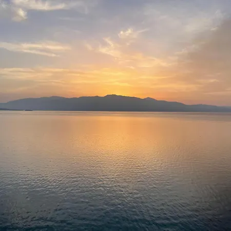 Sofia 2* 니키아나