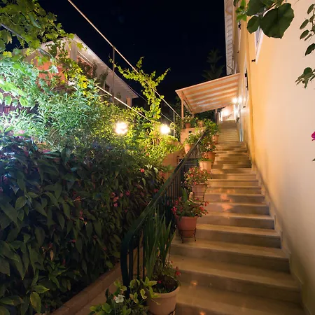 Sofia 2* 니키아나